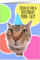 Cute Cat Birthday PURR-tay (party) Invitation Humor card