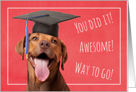 Congratulations Graduate Cute Dog in Grad Cap Humor card