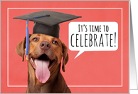 Graduation Party Invitation Cute Dog in Cap Humor card