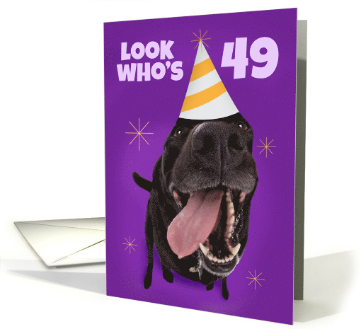 Happy 49th Birthday Funny Dog in Party Hat Humor card (1565960)
