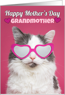 Happy Mother’s Day Grandmother Cute Cat in Heart Glasses Humor card