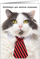 Happy Birthday Serious Business Cat Humor card