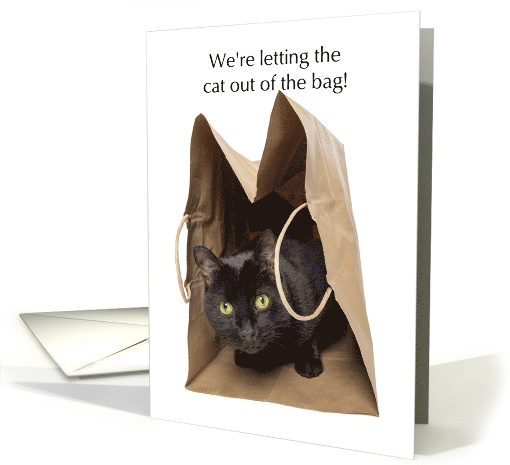 Letting the Cat out of the Bag Pregnancy Announcement Humor card