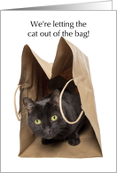 Letting the Cat out of the Bag Pregnancy Announcement Humor card