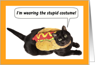 Happy Halloween Cat in Hog Dog Costume Humor card