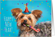 Happy New Year Cute Yorkie in Party Hat Humor card