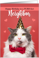 Happy Birthday Neighbor Cute Cat in Party Hat and Bow Tie Humor card