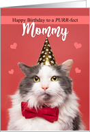 Happy Birthday Mommy Cute Cat in Party Hat and Bow Tie Humor card