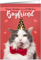 Happy Birthday Boyfriend Cat in Party Hat and Bow Tie Humor card