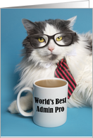 Happy Admin Pro Day Cute Cat in Tie With Coffee Mug Humor card