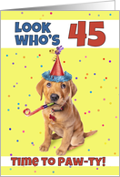 Happy 45th Birthday Cute Puppy in Party Hat Humor card