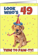 Happy 49th Birthday Cute Puppy in Party Hat Humor card