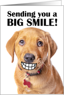 Thinking of You Big Smile Funny Puppy Coronavirus Pandemic card