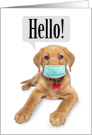 Thinking of You Cute Puppy in Face Mask Coronavirus Humor card