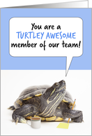 Happy Administrative Professionals Day Cute Office Turtle Humor card