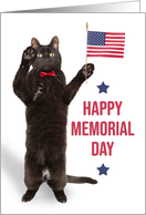Happy Memorial Day Cat With Flag Saluting card