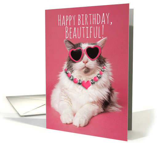 Happy Birthday Beautiful For Any One Cute Funny Cat in... (1755258)