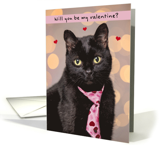 Happy Valentines Day For Anyone Cute Cat in Heart Tie Humor card