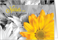 From All of Us Group Nurses Day Golden Gerbera Daisy card