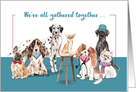 Doctors Day From Group Funny Dogs card