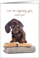 Time for Reading Glasses with Adorable Daschund Puppy Dog card