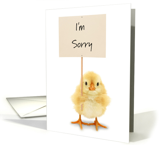 Apology I'm Sorry Cute Baby Chick Holding Sign card (1758658)