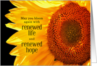 12 Step Recovery Encouragement Renewed Life Sunflower card