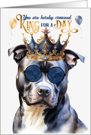 Birthday Gray Pitbull Staffordshire Dog Funny King for a Day card
