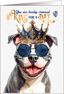 Birthday Staffordshire Terrier Dog Funny King for a Day card