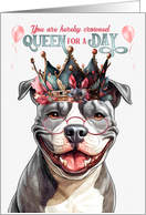 Birthday Staffordshire Terrier Dog Funny Queen for a Day card
