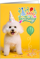 From the Pet Birthday Bichon Frise Dog in a Party Hat on Yellow card