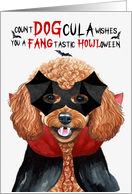 Toy Poodle Dog Funny Halloween Count DOGcula card
