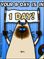 birthday countdown, countdown, 1 day untill birthday, bday, b-day, birthday, friend, kitty
