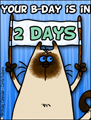 birthday countdown, countdown, 2 days untill birthday, bday, b-day, birthday, friend, kitty