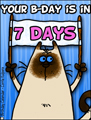 birthday countdown, countdown, 7 days untill birthday, bday, b-day, birthday, friend, kitty
