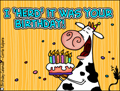 birthday,bday,b-day,cow,funny,I 'herd' it was your birthday, candles, birthday cake, cake, frosting