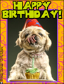 b-day, birthday,happy birthday,doggy,puppy,cupcake,