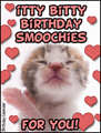itty bitty kitty, smoochies, birthday, kitty, kitten, sweet,