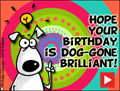 happy birthday, animated birthday card, dog-gone brilliant, b-day, birthday, dog