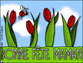bonne fte Maman, maman, tulipes