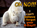 belated,oops,sorry,forgot,late,happy birthday,happy belated birthday,belated birthday wishes,bear,polar bear,animal,