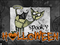 halloween,spooky,black cat,kitty,scary,monster,vampire,fang,trick or treat,
