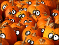 thanksgiving,pumpkin,pumpkin pie,pumpkin mania,funny,humor,humorous,