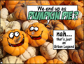 thanksgiving,humor,humorous,funny,pumpkin,face,pumpkin pie,urban legend,