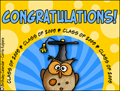 graduation, graduate, class of 2009, owl, congratulations, graduation party, school, you did it,cap, gown, diploma,