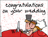 best wishes,congrats,congratulations,wedding,just married,bride,groom,spouse,honeymoon,union,newly wed,married,marry,marriage,big day,wife,husband,car,veil,top hat,