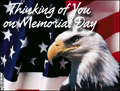 memorial day, patriotic, USA, freedom, tribute, honor, soldier, sailor, pilot, marine, army, nany, airforce, coastguard,