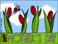 happy mother's day, mother, mom, tulpis
