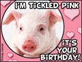 tickled pink, piggy, piglet, happy birthday, birthday,heart,sweet