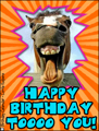 happy birthday, b-day,congratulations,hip hip hurray, horse,funny, animal, gallop